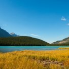 On the Icefields Parkway